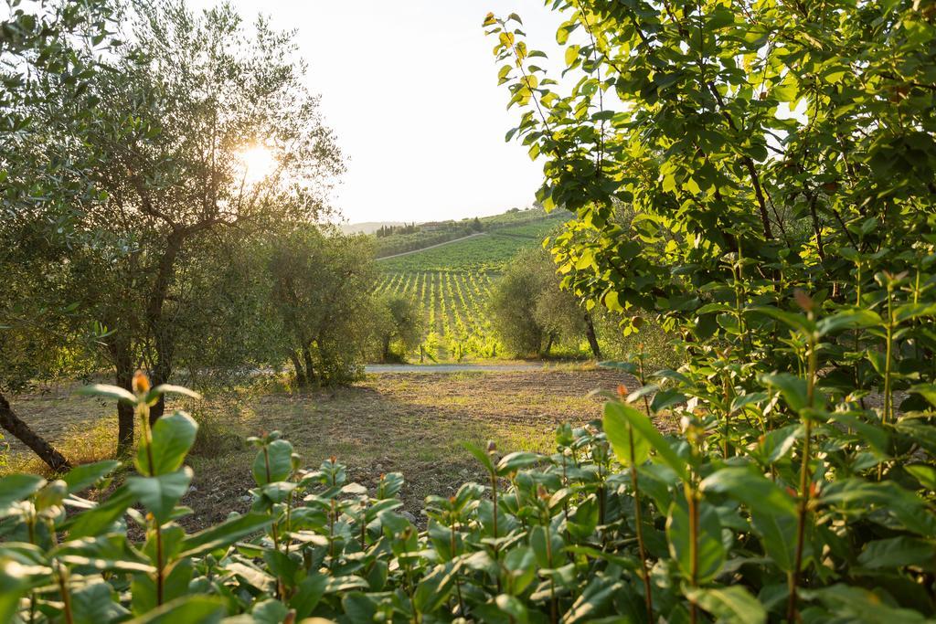 Tenuta Di Monaciano Ponte A Bozzone Eksteriør bilde