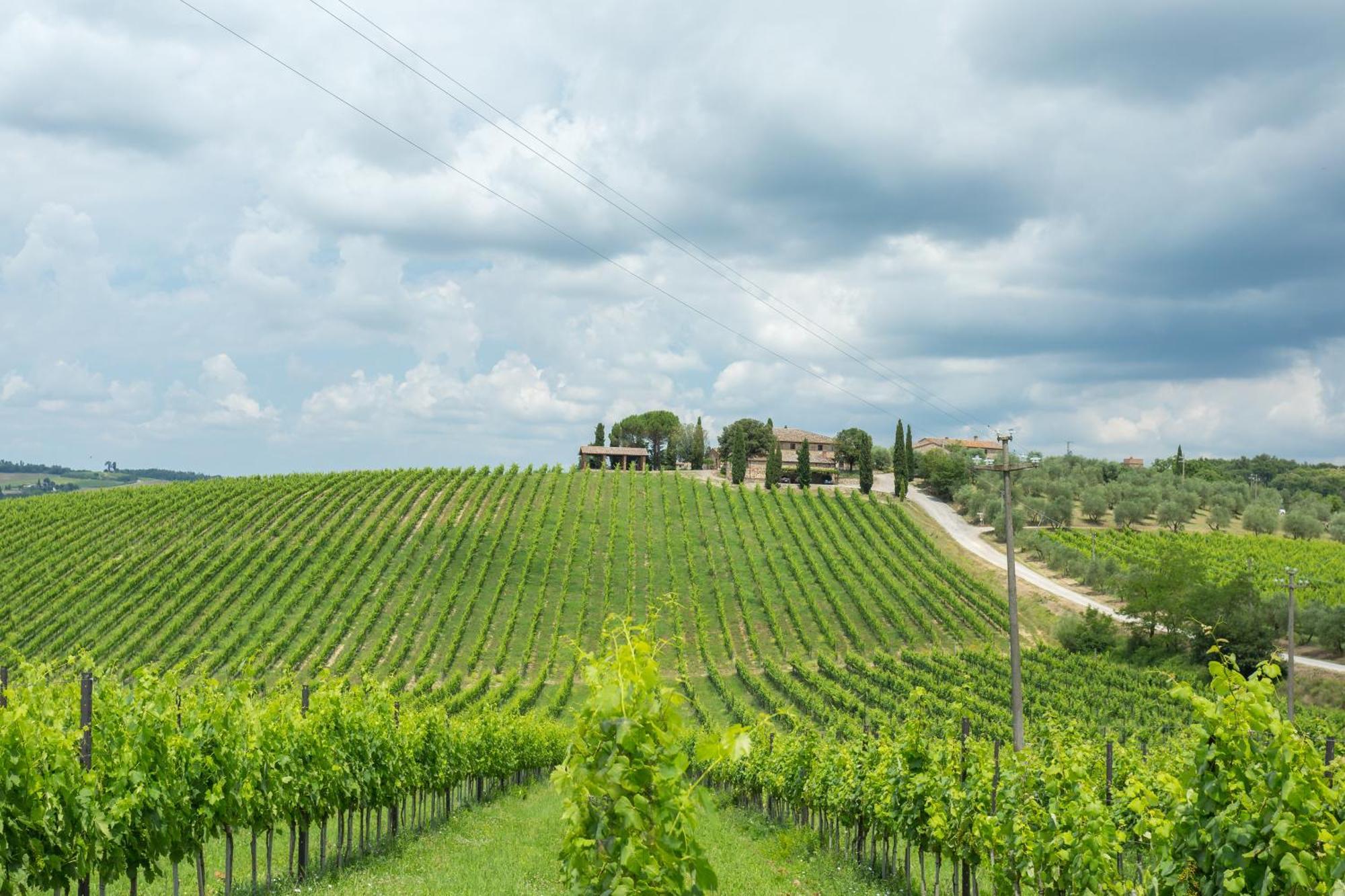 Tenuta Di Monaciano Ponte A Bozzone Rom bilde