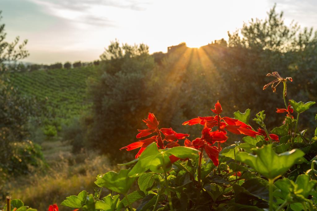 Tenuta Di Monaciano Ponte A Bozzone Eksteriør bilde