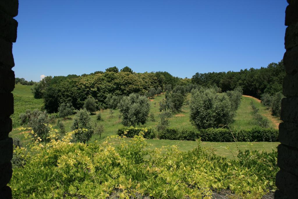 Tenuta Di Monaciano Ponte A Bozzone Rom bilde