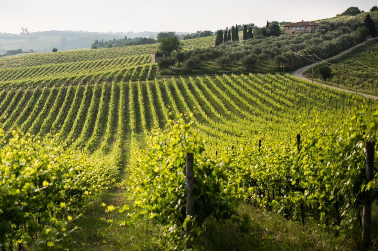 Tenuta Di Monaciano Ponte A Bozzone Eksteriør bilde